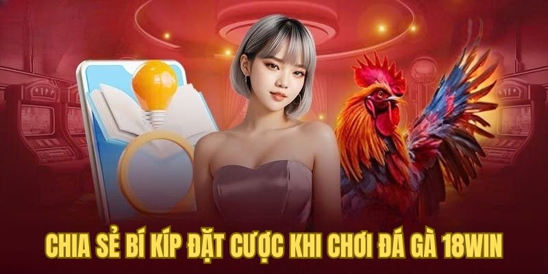 Chia sẻ bí kíp đặt cược khi chơi đá gà 18WIN