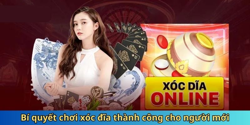 Bí quyết chơi xóc đĩa online thành công cho người mới